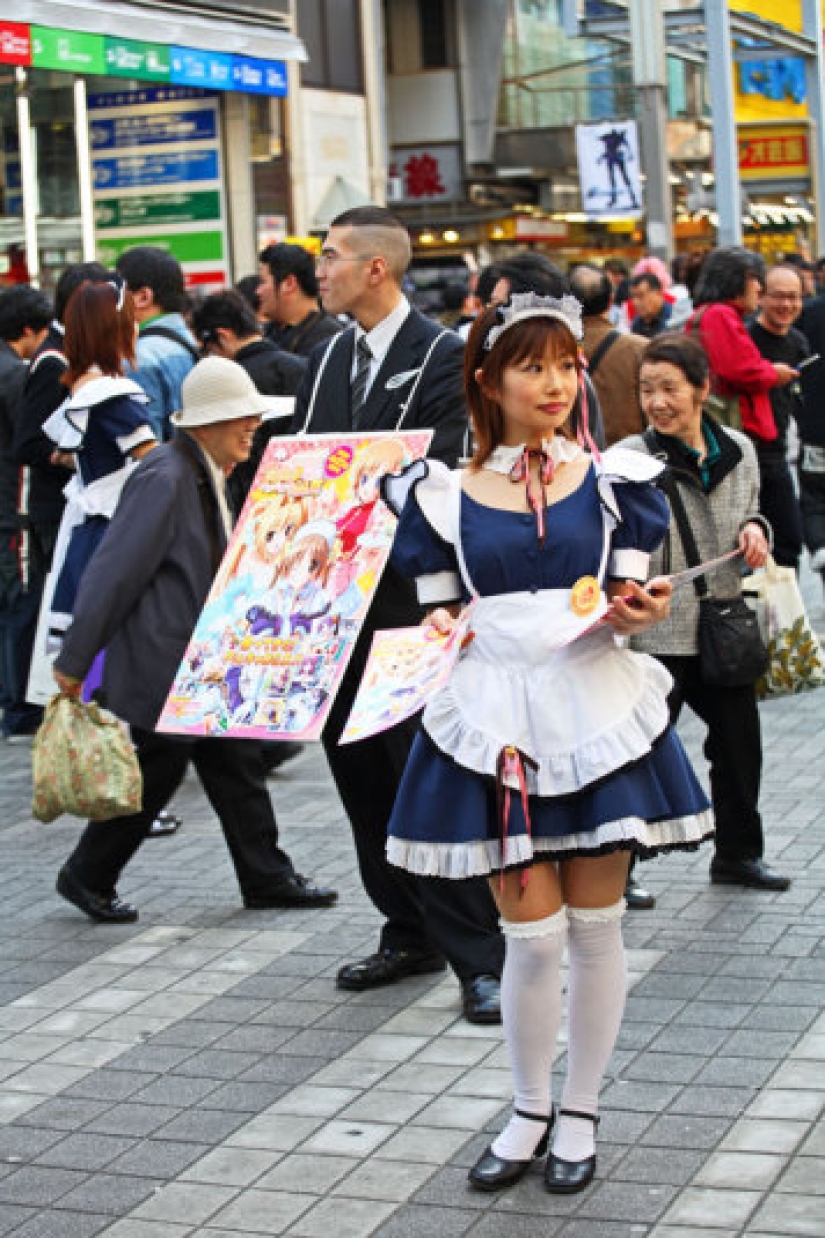Weird and amazing facts about Japan Weird and amazing facts about Japan