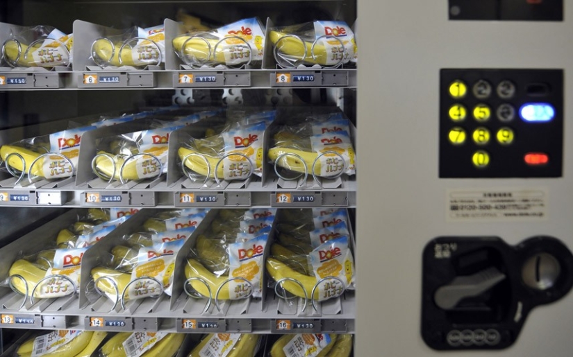 Weird and amazing facts about Japan Weird and amazing facts about Japan