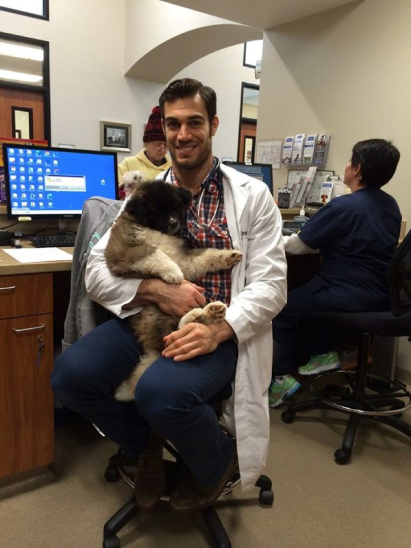 Well, isn't this the sexiest vet?