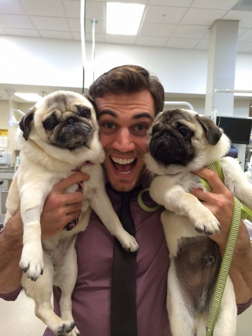 Well, isn't this the sexiest vet?