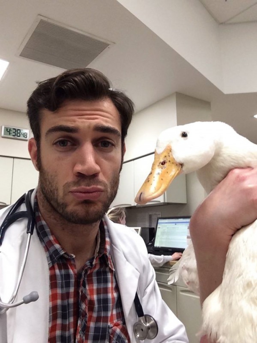 Well, isn't this the sexiest vet?