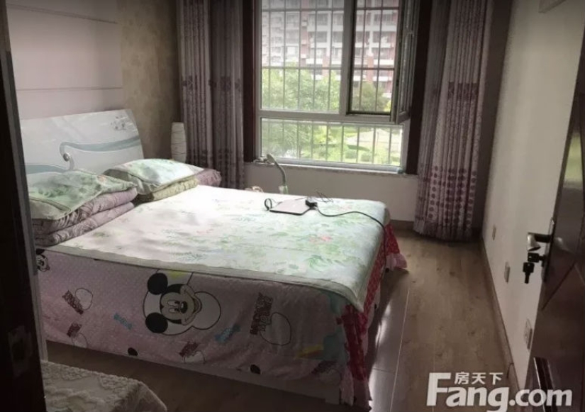What 1000 dollars of rent in 22 countries of the world looks like