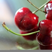 What can kill us? What can kill us?