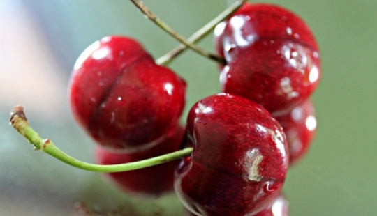 What can kill us? What can kill us?