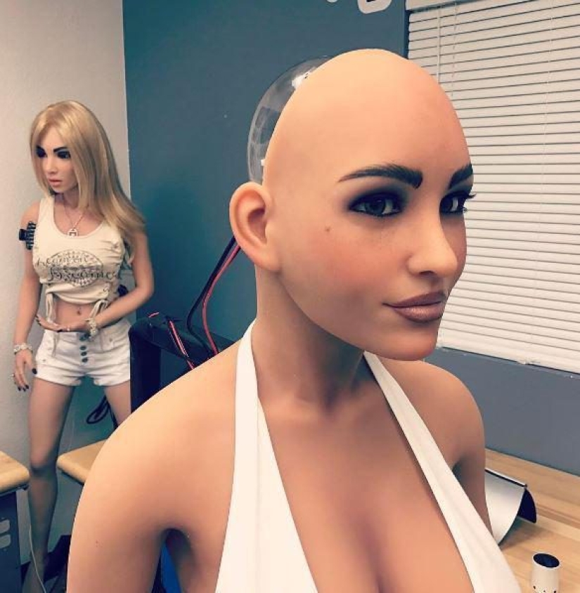 What do the most realistic dolls and robots for sex know and look like