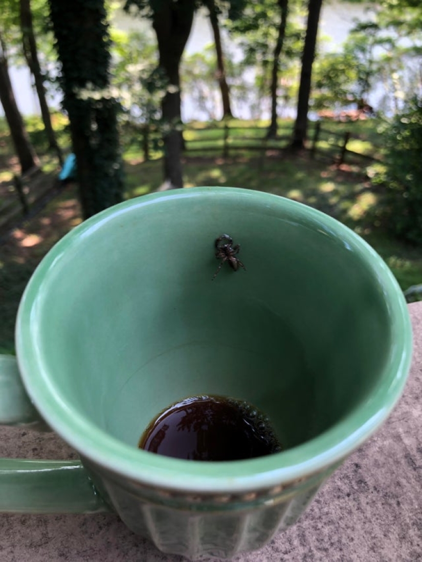 What do you know about beauty? One-legged girl got into the final of "Miss Italy"