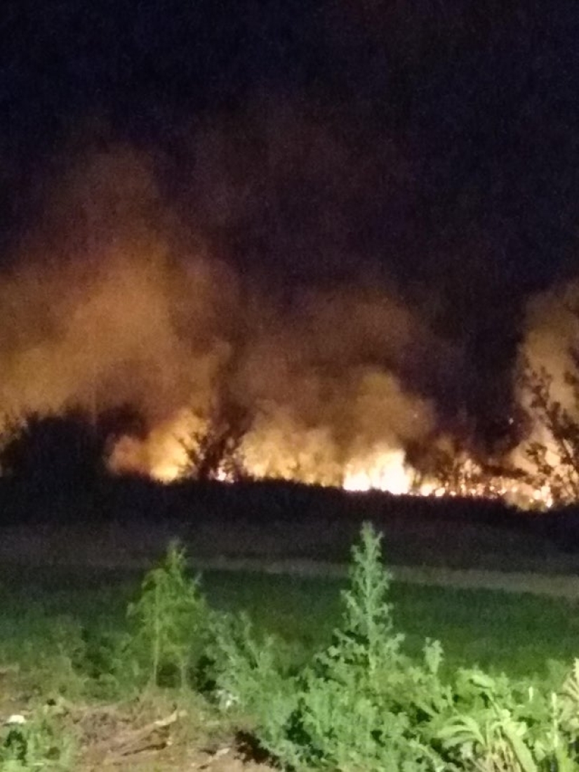 What do you know about beauty? One-legged girl got into the final of "Miss Italy"