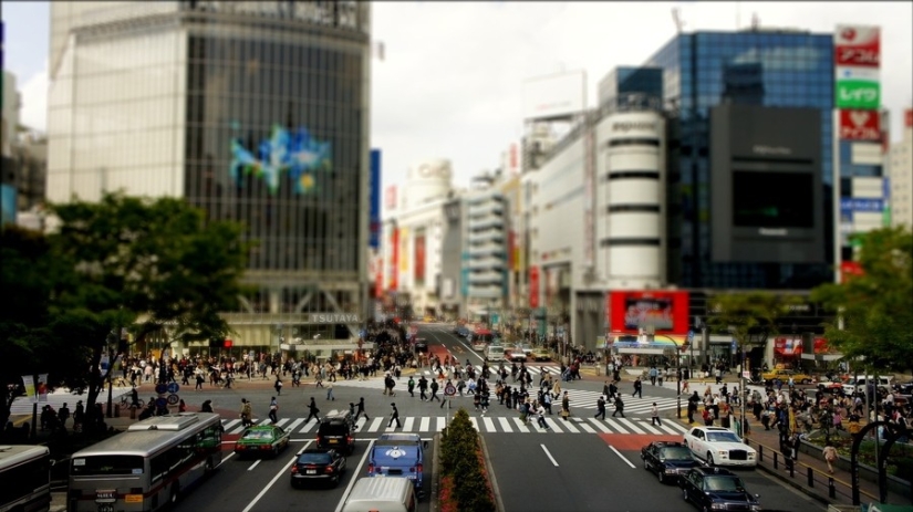 What famous cities look like in tilt-shift photos