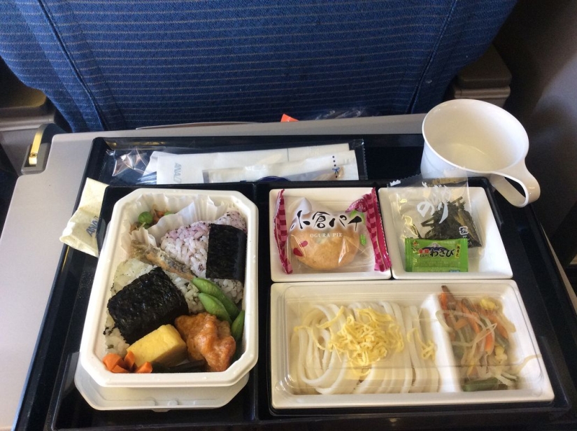 What food looks like on board an airplane in 15 airlines