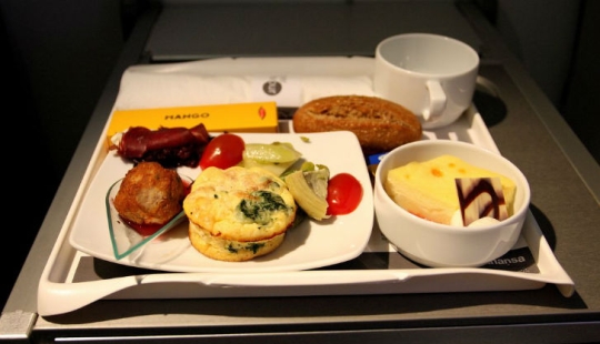 What food looks like on board an airplane in 15 airlines