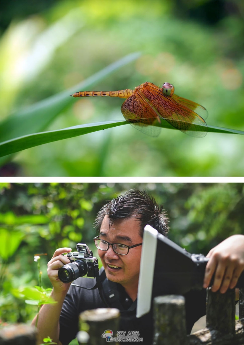 What happens behind the scenes of the most beautiful photo shoots What happens behind the scenes of the most beautiful photo shoots