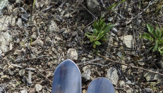 What happens if... What happens if...