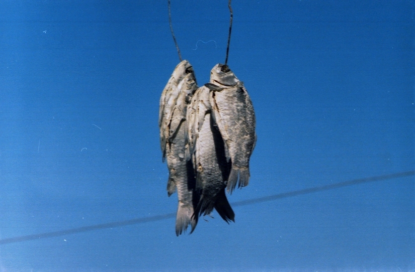 What kind of food is missing for Russians abroad What kind of food is missing for Russians abroad