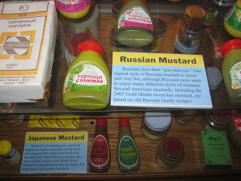 What kind of food is missing for Russians abroad What kind of food is missing for Russians abroad