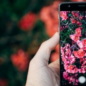 What kind of Pokemon is this: Shazam for animals, plants and birds has appeared