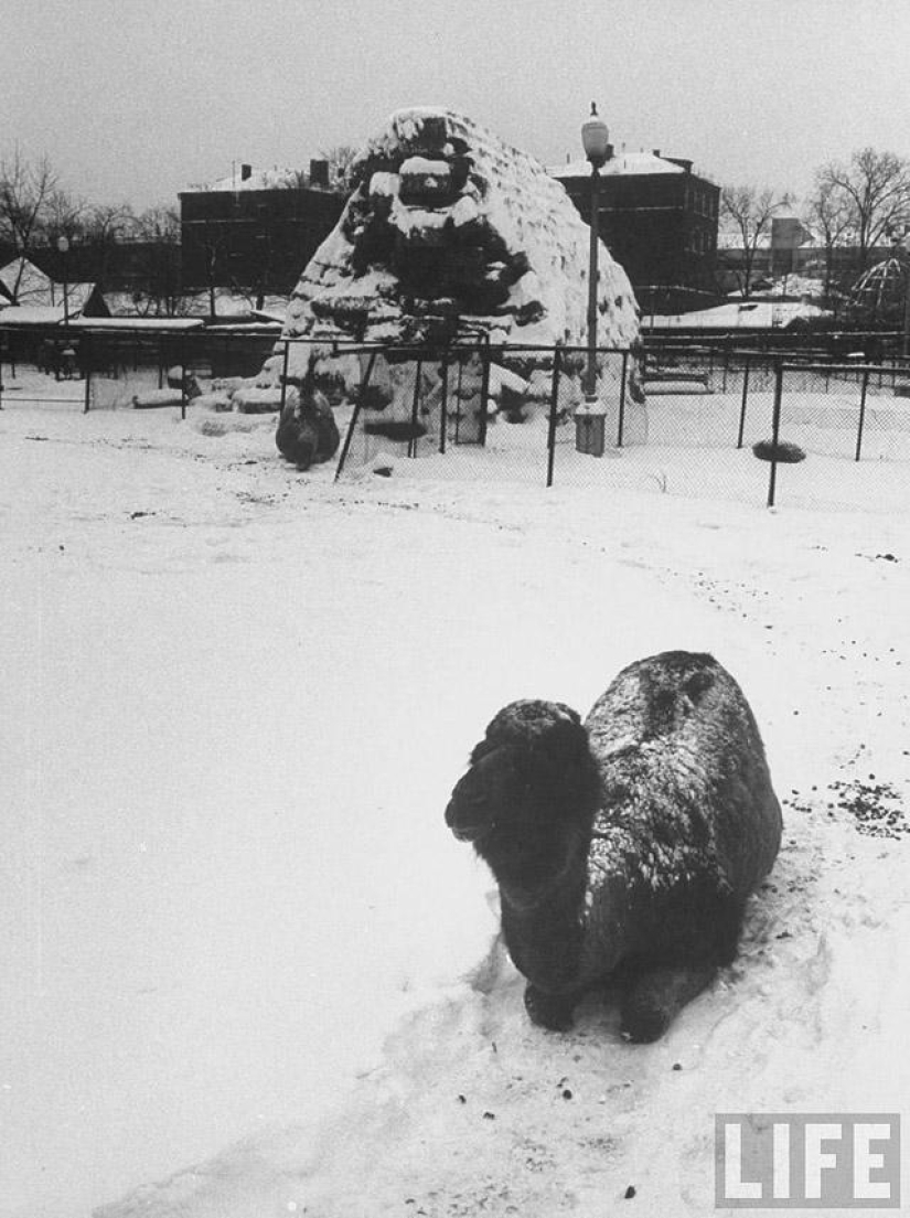 What was Moscow like in December 1959
