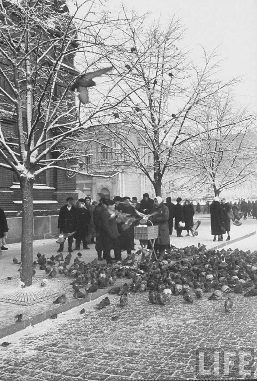 What was Moscow like in December 1959
