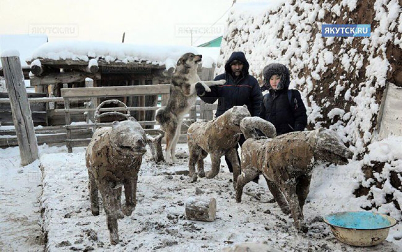 When art smells: Yakut craftsman sculpts sculptures from manure When art smells: Yakut craftsman sculpts sculptures from manure