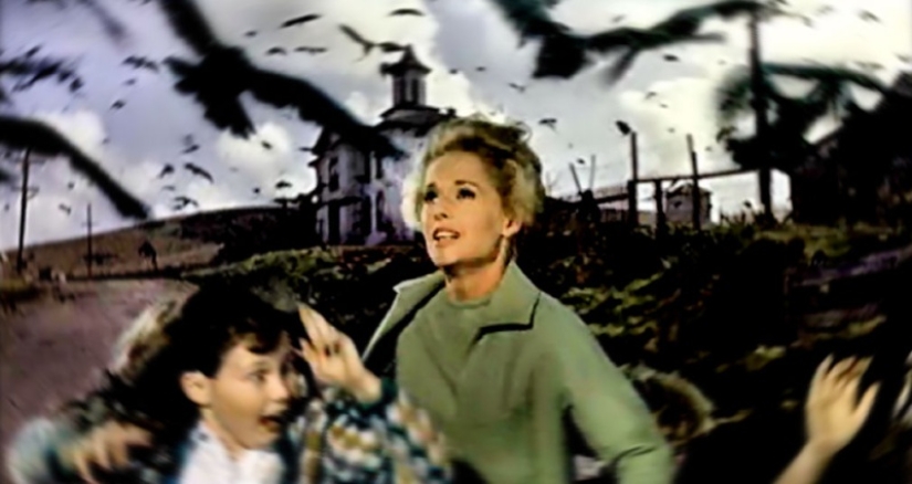 When classic Horror comes to life: the inexplicable invasion of black birds in Texas When classic Horror comes to life: the inexplicable invasion of black birds in Texas