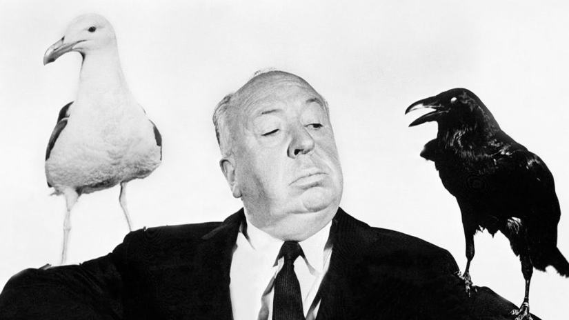 When classic Horror comes to life: the inexplicable invasion of black birds in Texas When classic Horror comes to life: the inexplicable invasion of black birds in Texas