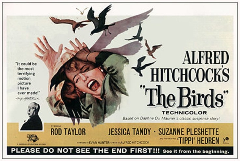 When classic Horror comes to life: the inexplicable invasion of black birds in Texas When classic Horror comes to life: the inexplicable invasion of black birds in Texas