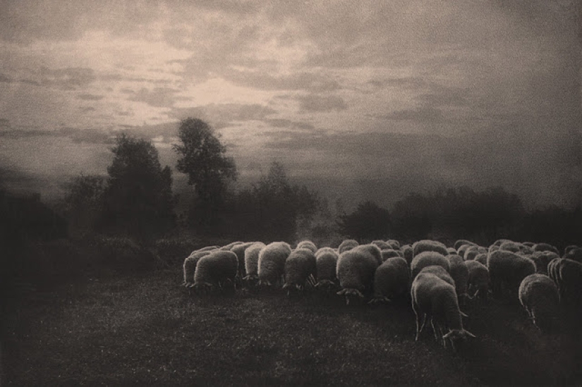 When photos looked like paintings: 27 frames by Leonard Misonne