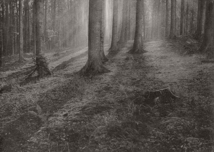 When photos looked like paintings: 27 frames by Leonard Misonne