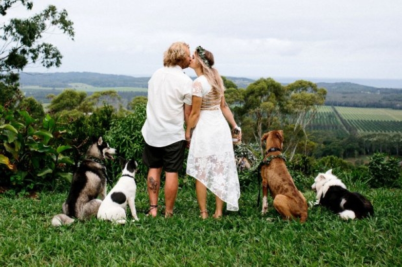 When the operator has paws: the couple instructed their dog to shoot the wedding When the operator has paws: the couple instructed their dog to shoot the wedding