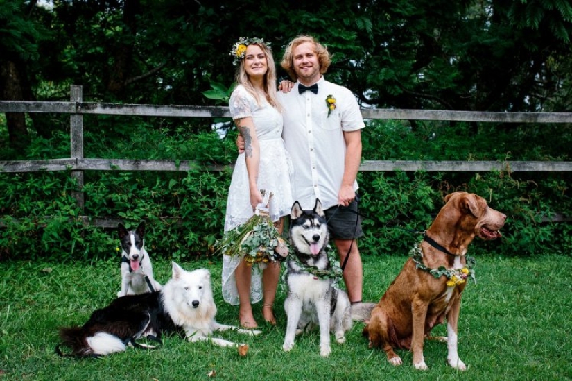 When the operator has paws: the couple instructed their dog to shoot the wedding When the operator has paws: the couple instructed their dog to shoot the wedding