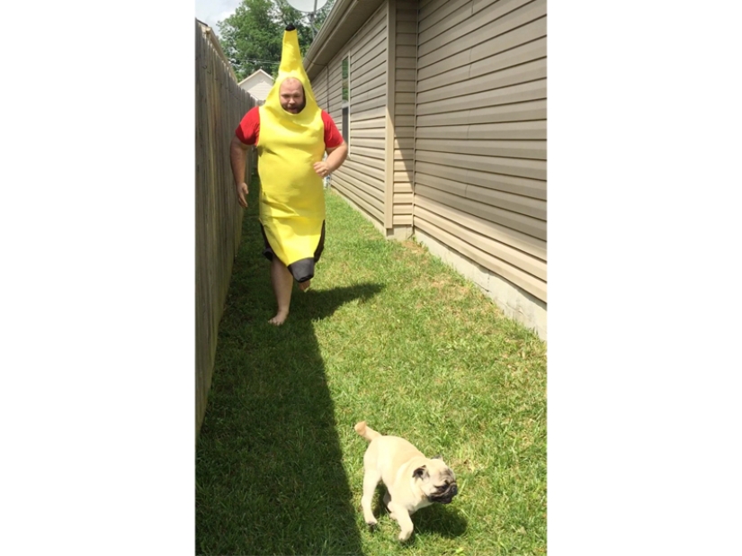 When you are already over 40, but in your heart you are still a child: 30 photos