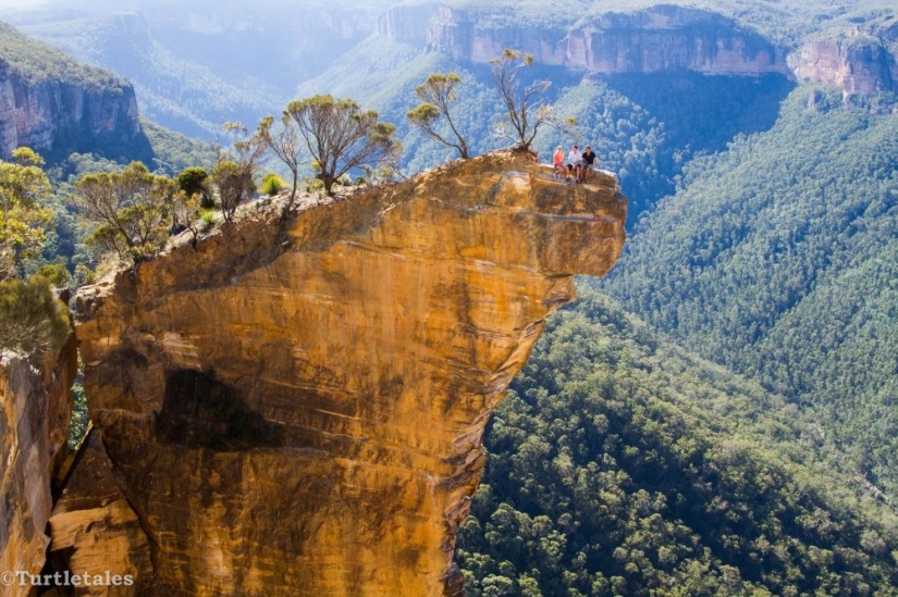 When you really want to go to Australia