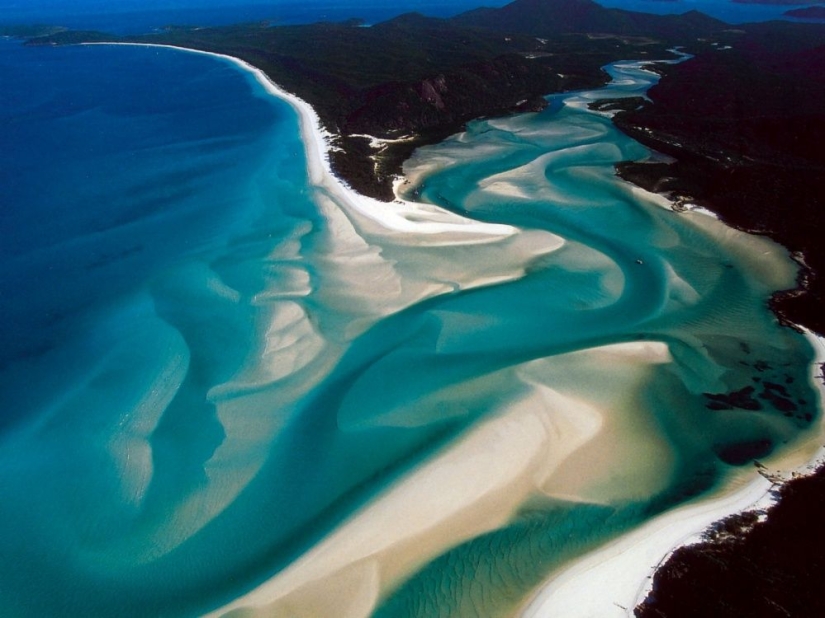 When you really want to go to Australia