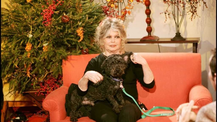 Where Is The Great Brigitte Bardot Today