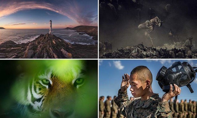 Which of these photos will be the best? Works from the Smithsonian Photo Contest 2018 Which of these photos will be the best? Works from the Smithsonian Photo Contest 2018