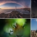 Which of these photos will be the best? Works from the Smithsonian Photo Contest 2018 Which of these photos will be the best? Works from the Smithsonian Photo Contest 2018