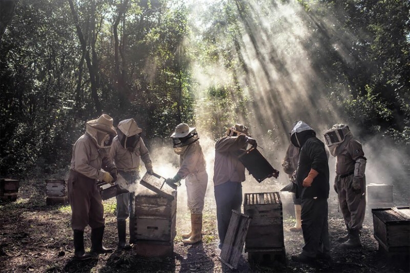Who will be the best? 15 contenders to win the "World Press Photo Contest 2019"