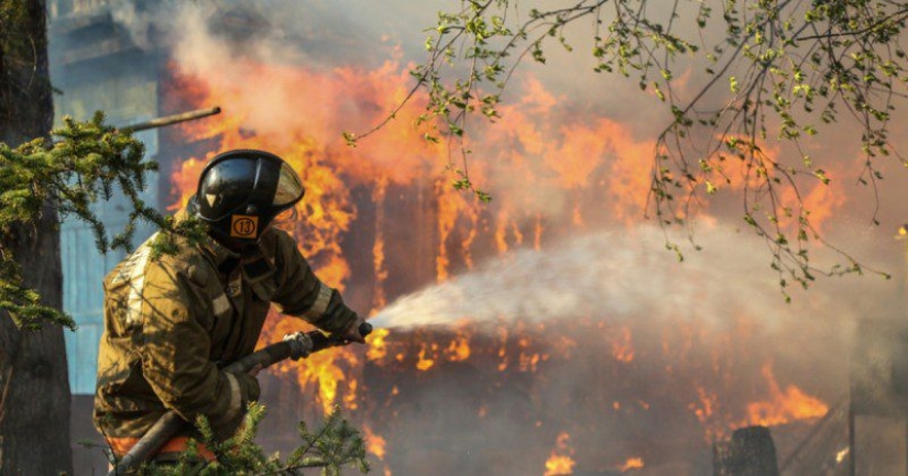 Why are forests burning? Experts named the reason for the deterioration of the fire situation on the planet