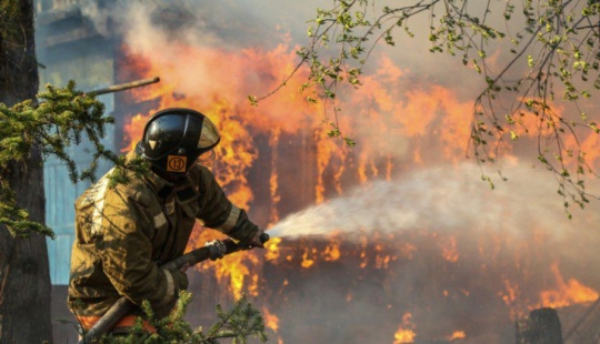 Why are forests burning? Experts named the reason for the deterioration of the fire situation on the planet