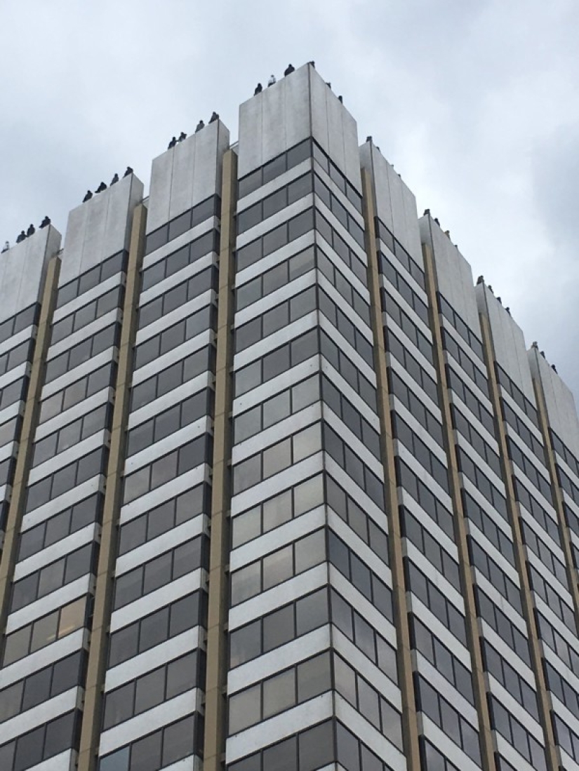 Why are there statues of 84 men on the roof of a London skyscraper