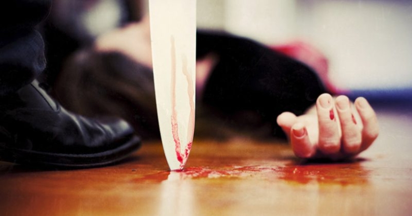 Why did the author of the LinguaLeo application stab his own sister with a knife Why did the author of the LinguaLeo application stab his own sister with a knife