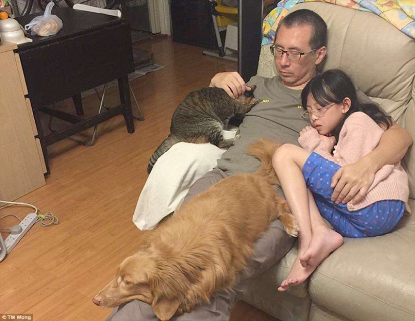 Why do father, daughter, dog and cat take the same photo every year for a decade Why do father, daughter, dog and cat take the same photo every year for a decade