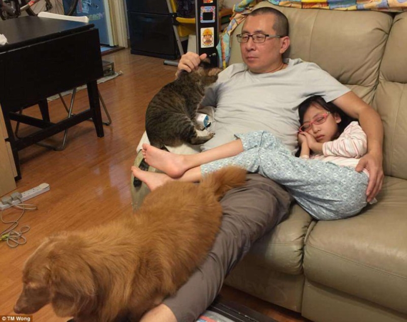 Why do father, daughter, dog and cat take the same photo every year for a decade Why do father, daughter, dog and cat take the same photo every year for a decade