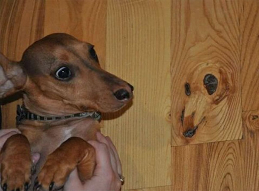 Why do we see faces everywhere