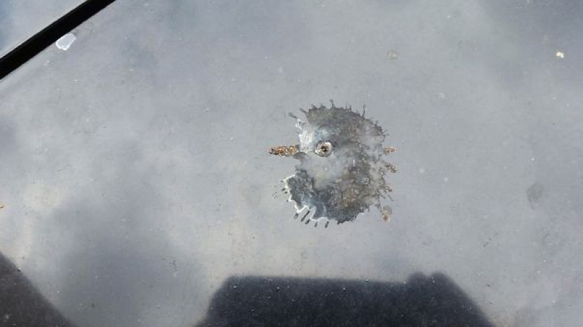 Why do we see faces everywhere
