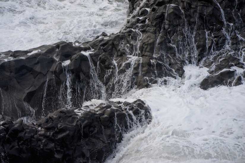 Why does this artist like to run with horses in the fields in what the mother gave birth to