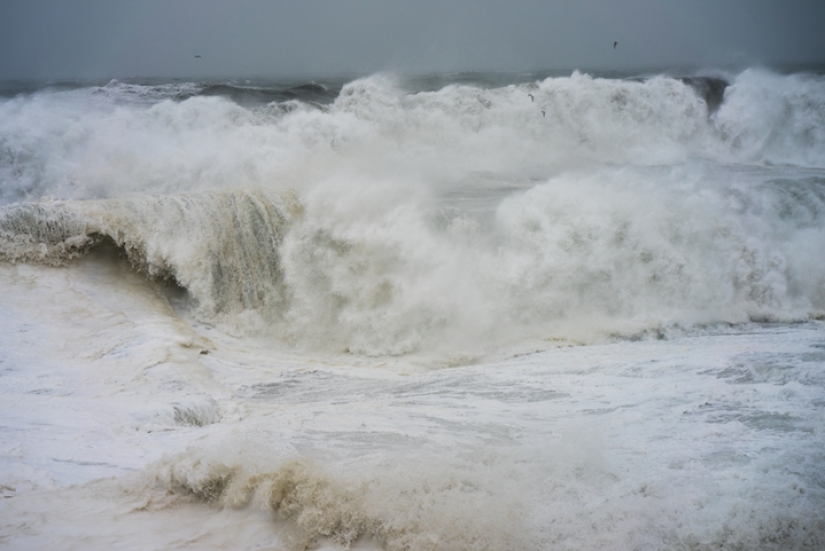 Why does this artist like to run with horses in the fields in what the mother gave birth to