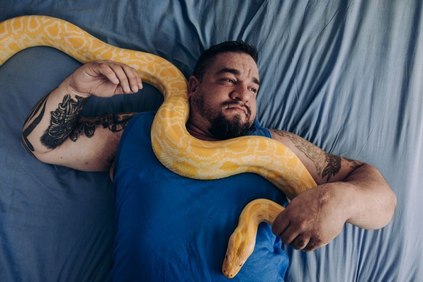 Why Finns are drawn to having domestic moose