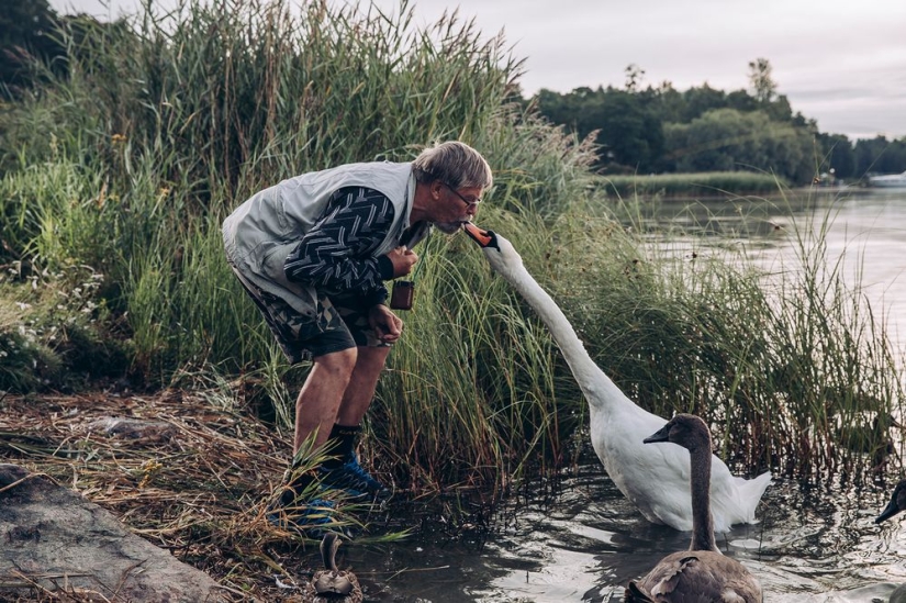 Why Finns are drawn to having domestic moose