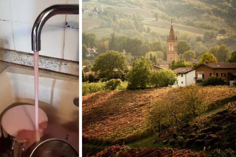 Why in Italy wine flowed from the taps instead of water