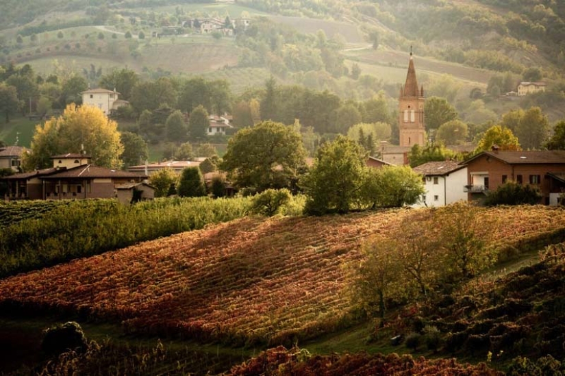 Why in Italy wine flowed from the taps instead of water